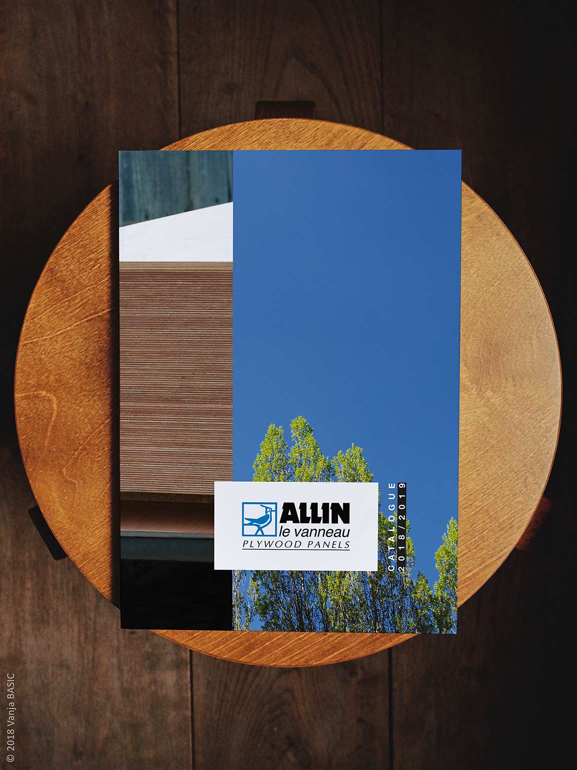 Catalogue pour Allin, fabricant de panneaux contreplaqués en okoumé et peuplier